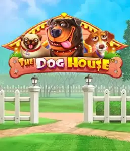 From Pragmatic Play comes The Dog House, featuring a delightful journey through lovable dogs. Engage in features such as sticky wilds, perfect for delivering exciting wins. Ideal for animal enthusiasts a cheerful atmosphere with a chance for big wins.